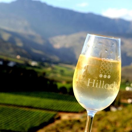 Mymering Wine & Guest Estate Ледисмит Экстерьер фото