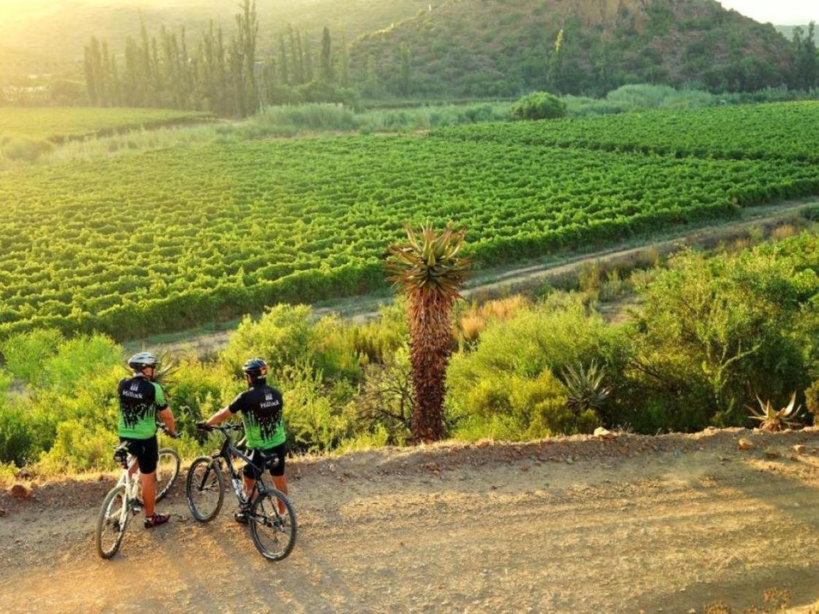 Mymering Wine & Guest Estate Ледисмит Экстерьер фото