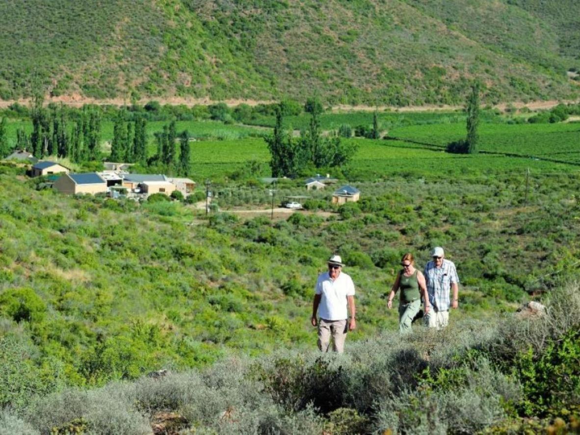 Mymering Wine & Guest Estate Ледисмит Экстерьер фото