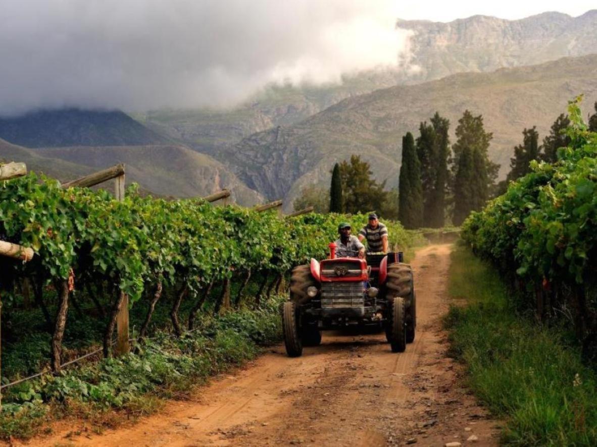 Mymering Wine & Guest Estate Ледисмит Экстерьер фото