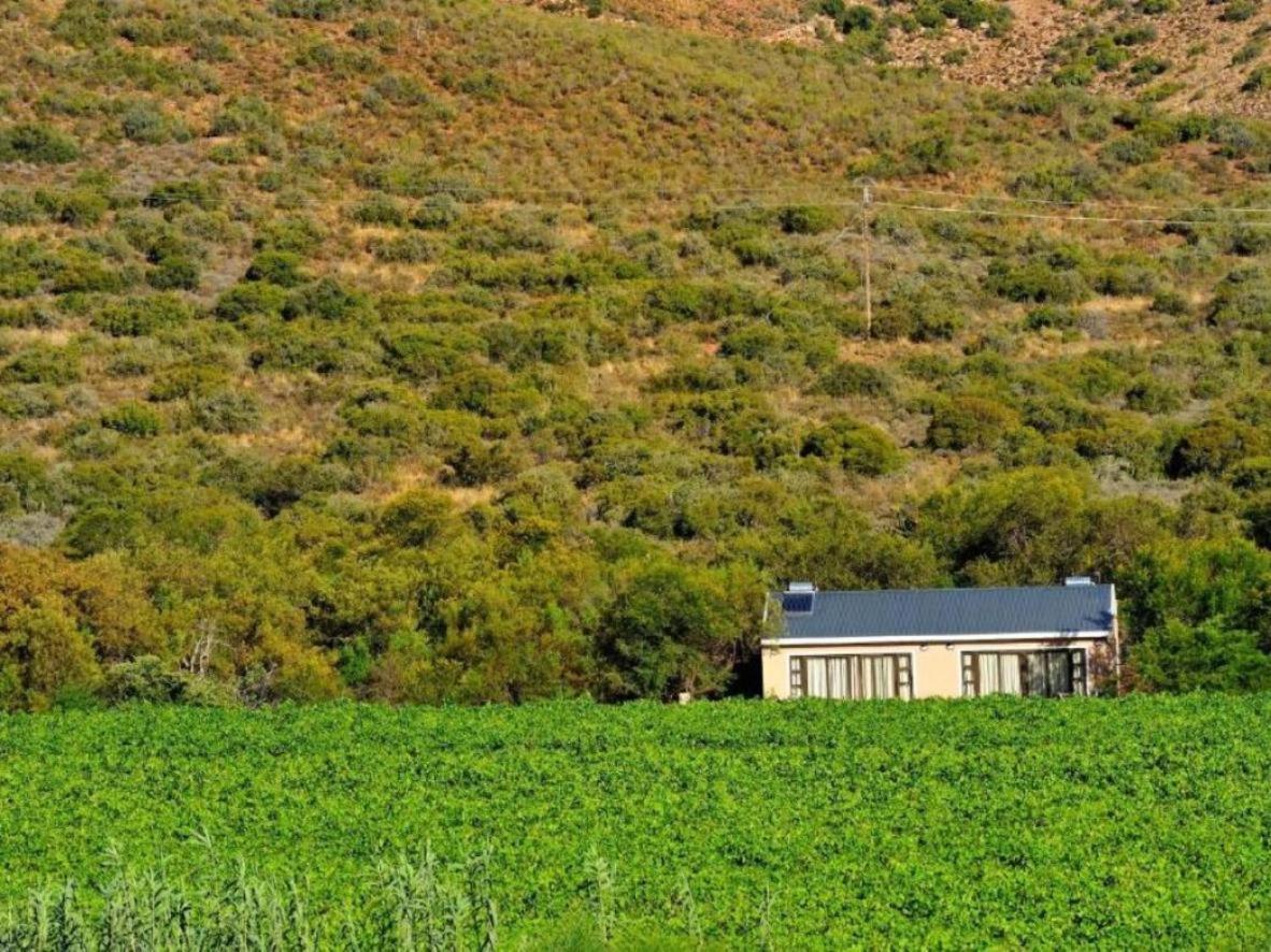 Mymering Wine & Guest Estate Ледисмит Экстерьер фото